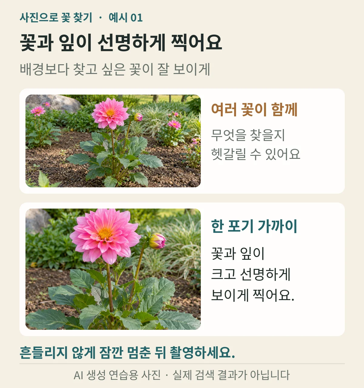 멀리서 찍은 꽃과 꽃 및 잎이 크게 보이도록 찍은 구도 비교