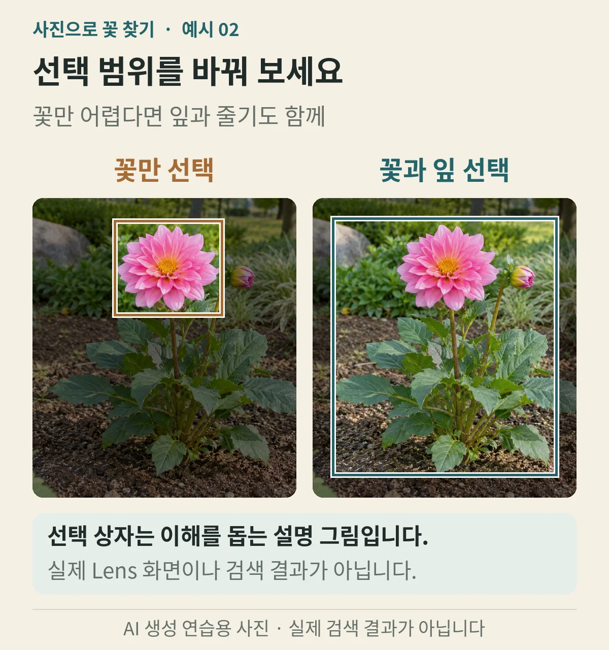 꽃만 선택한 범위와 꽃 및 잎을 함께 선택한 범위 비교