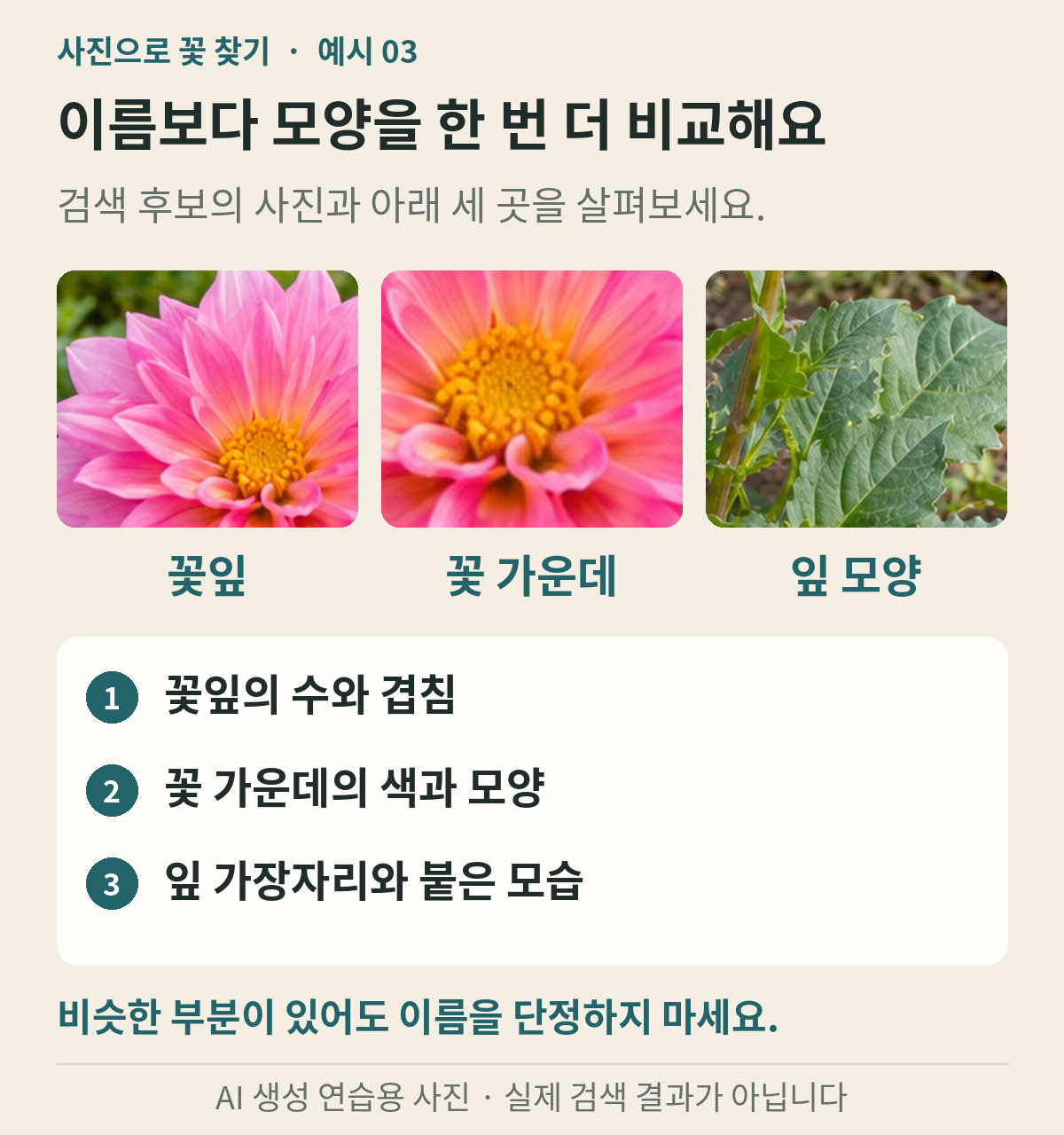 꽃잎 꽃 가운데 잎 모양을 나누어 살펴보는 비교 예시